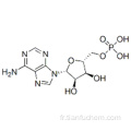 Adénosine 5&#39;-monophosphate CAS 61-19-8